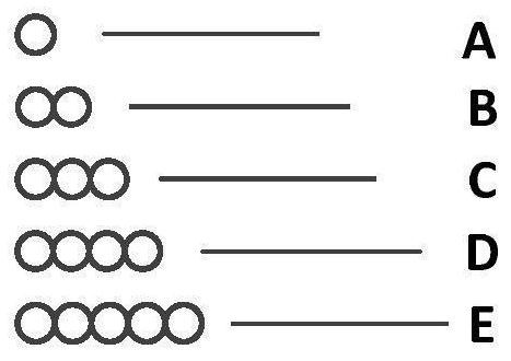 A Matching Method of Surrounding Circular Marking Points Based on Rolling Target