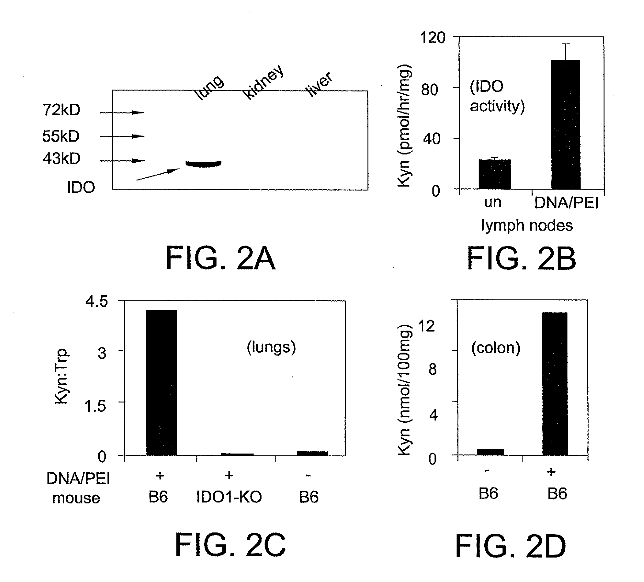 Methods of Promoting Immune Tolerance