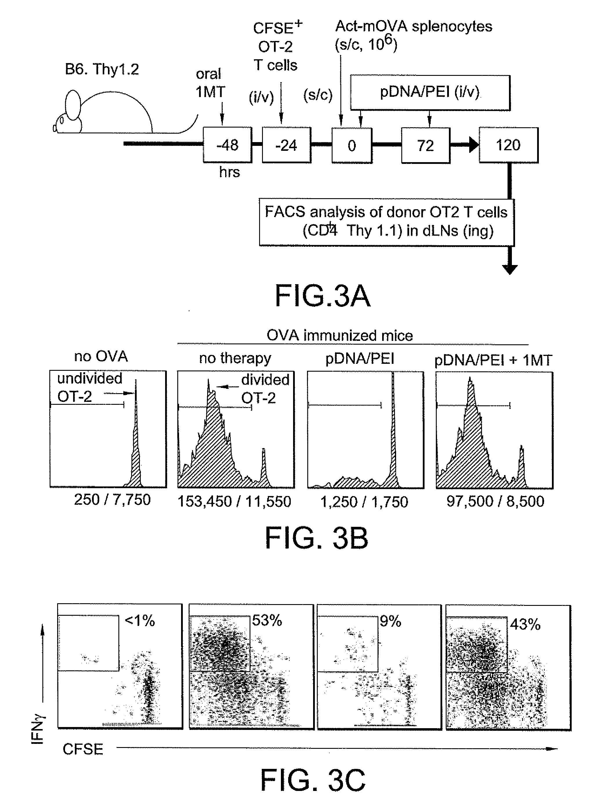 Methods of Promoting Immune Tolerance