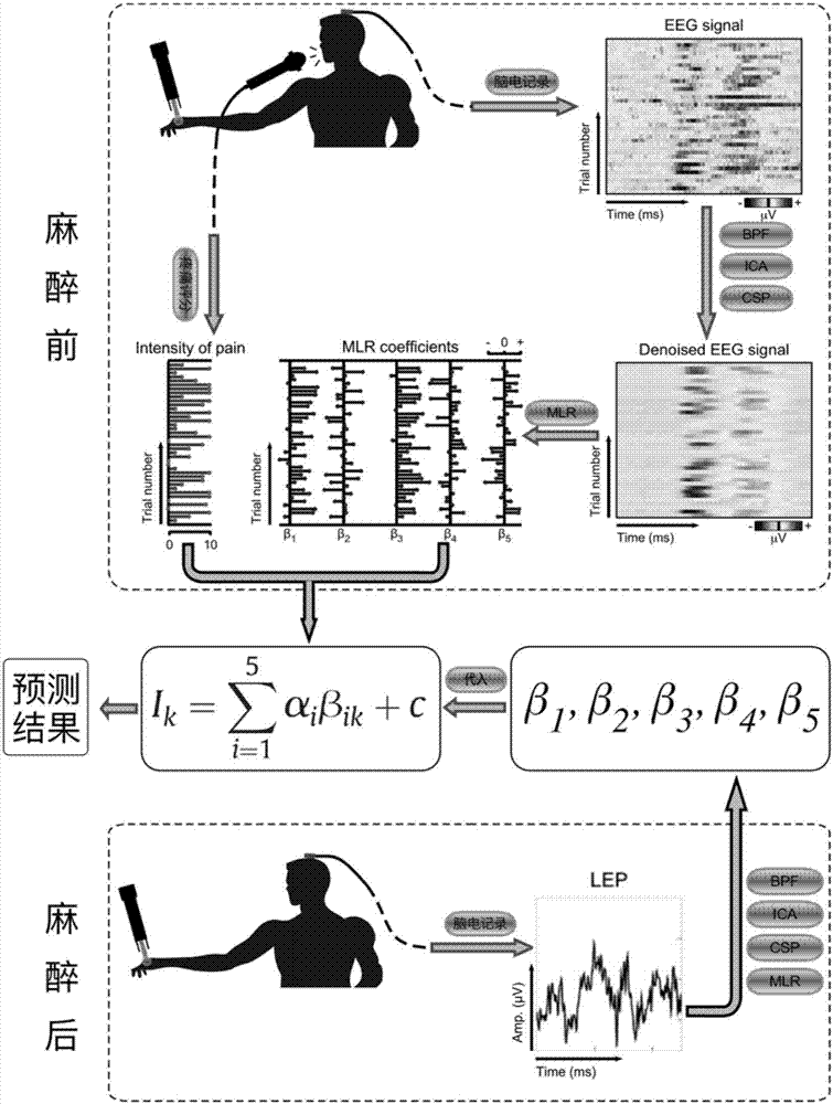 In-depth evaluation method for preoperative and intraoperative anesthesia based on brain responses of pain