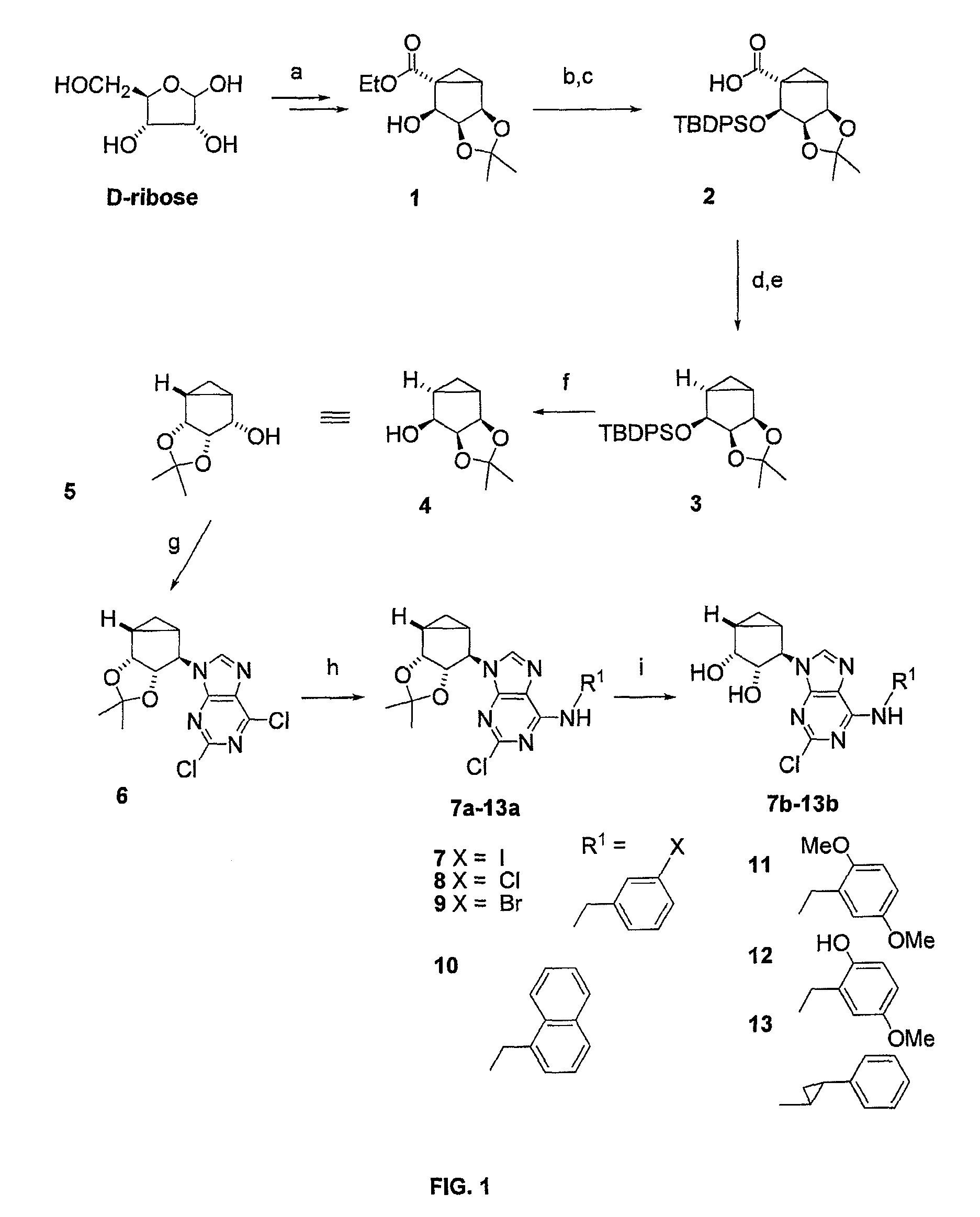 A.sub.3 adenosine receptor antagonists and partial agonists