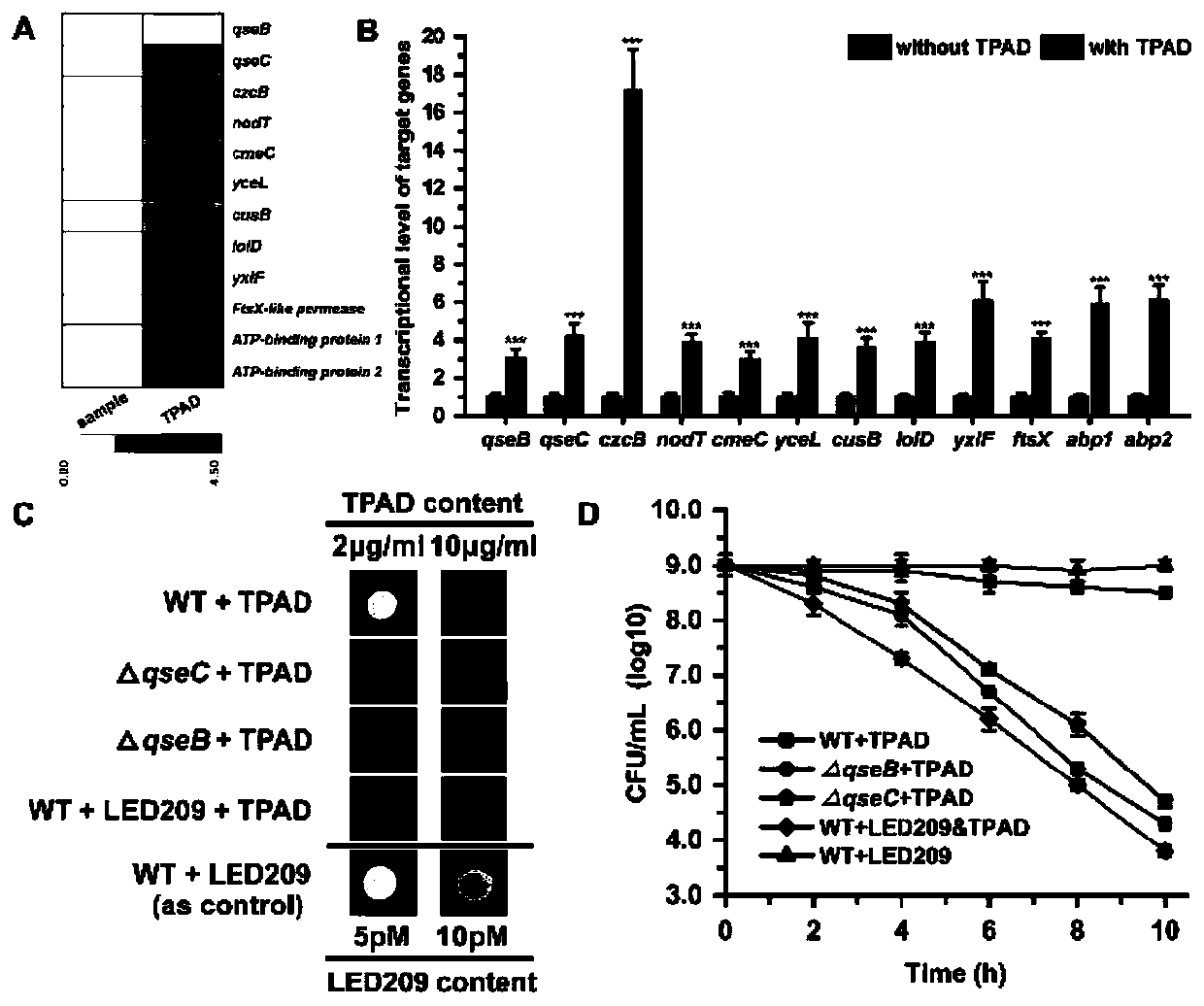 Anti-wild lysobacter drug and application thereof