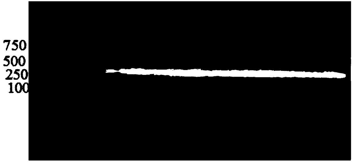 Construction method of T-cell tumor phage antibody library and screened monoclonal antibody