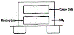 A Programmable Interconnect Network Based on Programmable Cell Configuration