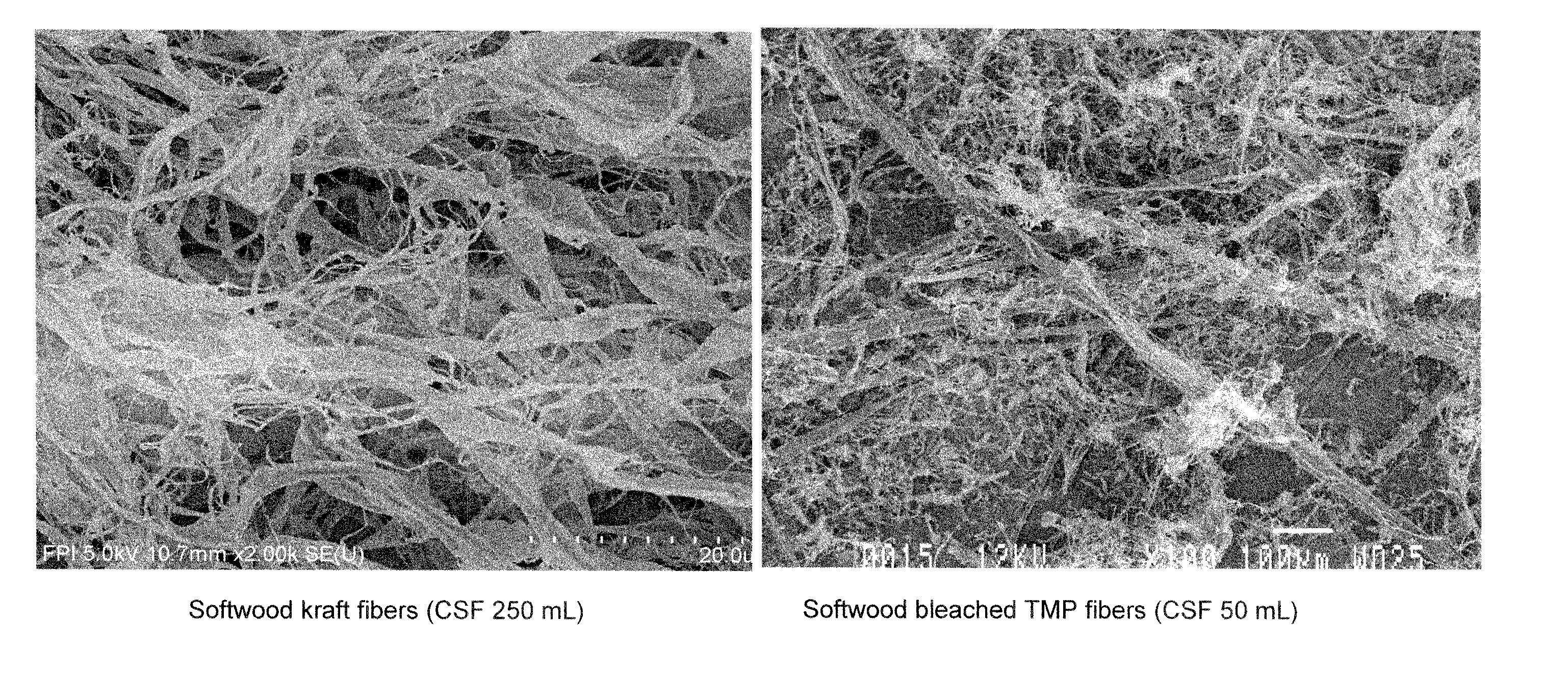 Cellulose-reinforced high mineral content products and methods of making the same