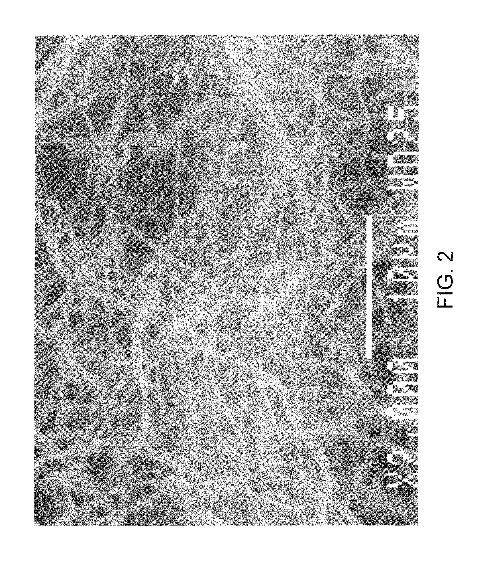 Cellulose-reinforced high mineral content products and methods of making the same
