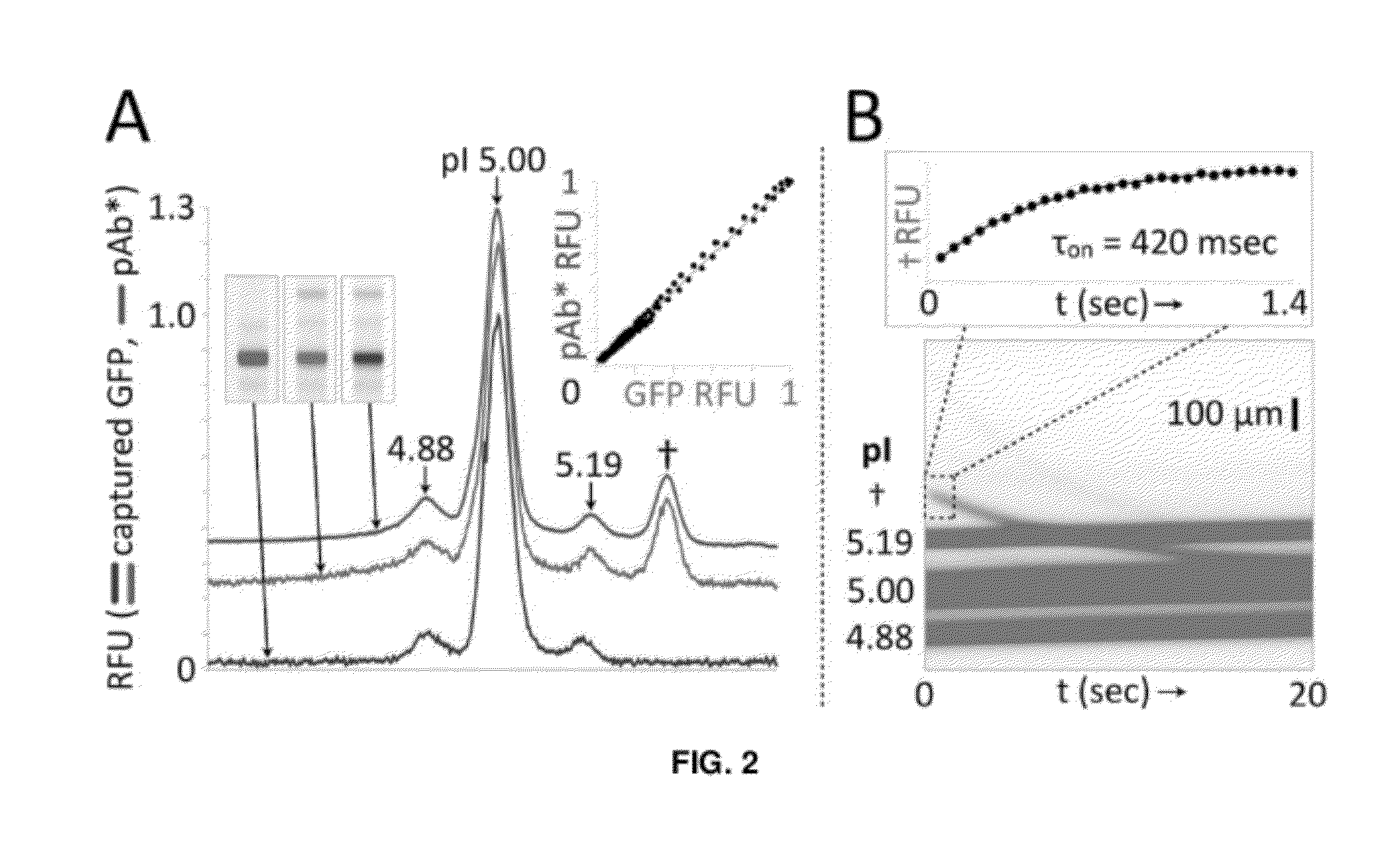 Microfluidic devices and methods for separating and detecting constituents in a fluid sample