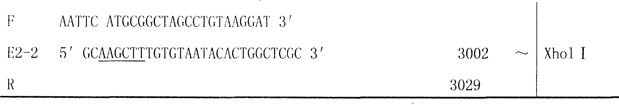 Method for preparing swine fever recombinant subunit vaccine