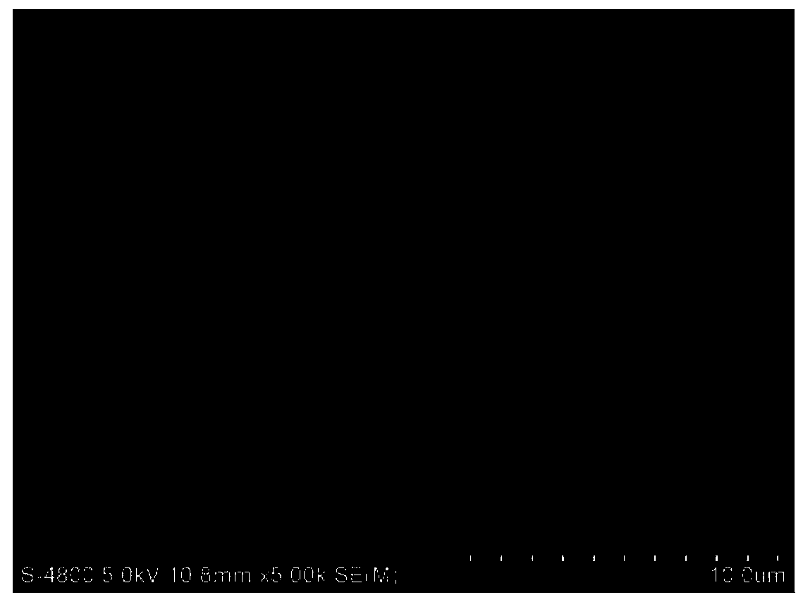 Abalone processing method