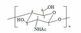 Branching polyamino chitosan derivative and preparation method thereof