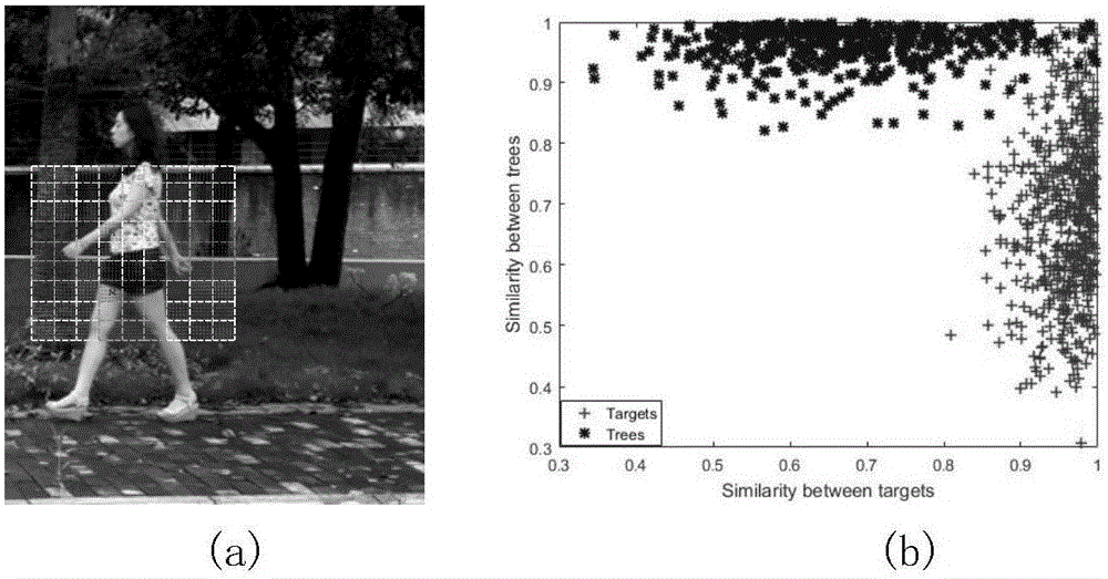 Neighborhood Gaussian structure and video feature fusion motion identification method
