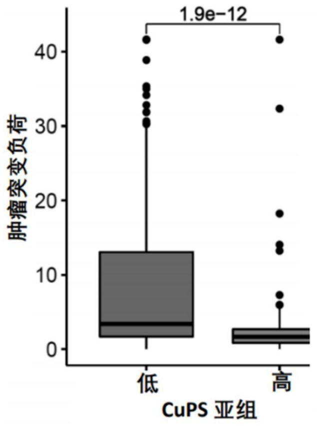 Application of model constructed based on biomarkers in prediction of cancer immune efficacy