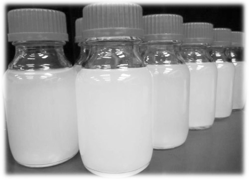 A kind of preparation method of acid niobium oxygen monoatomic layer sheet