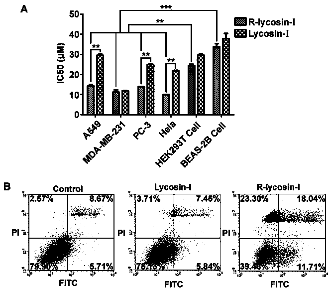 Anticancer active peptide and application