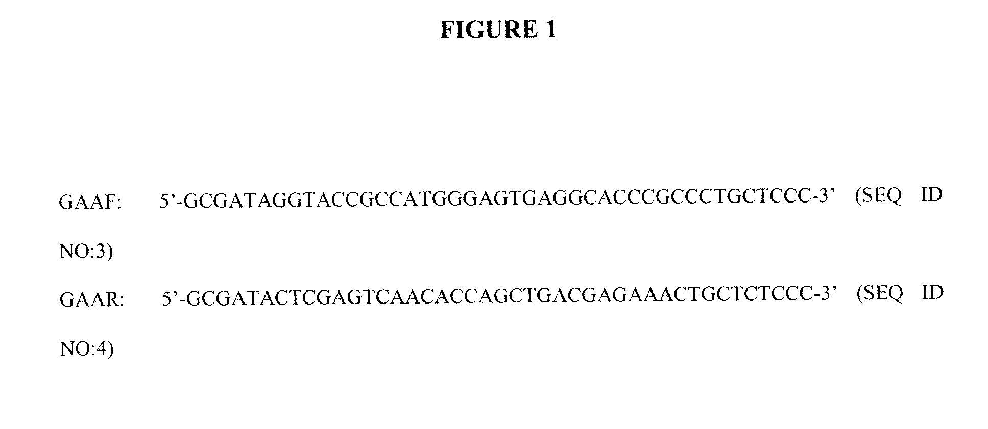 Manufacture of Highly Phosphorylated Lysosomal Enzymes and Uses Thereof