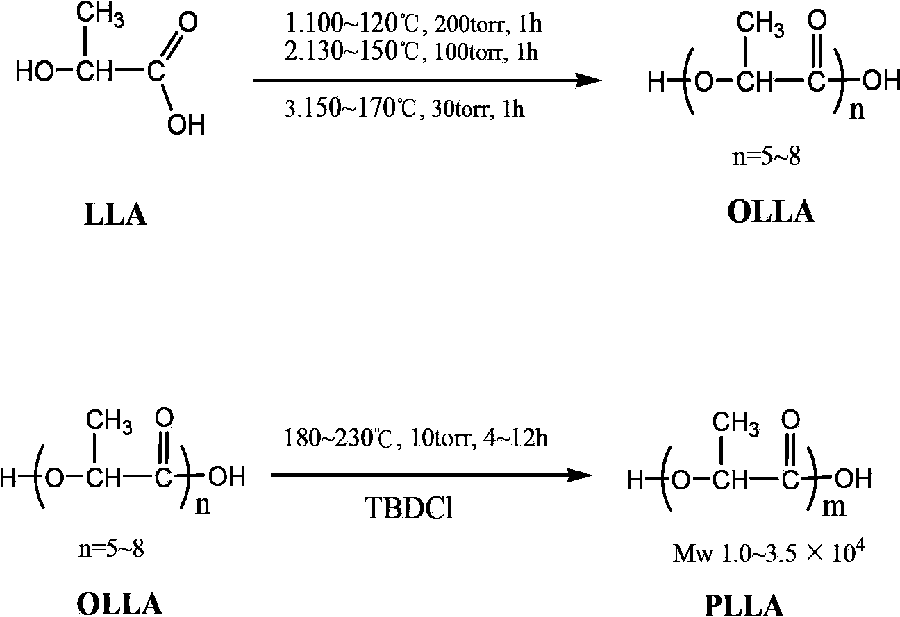 Technical method for synthesizing medical biodegradable polylactic acid by catalyzing condensation polymerization of lactic acid through chlorinated bicyclic guanidine