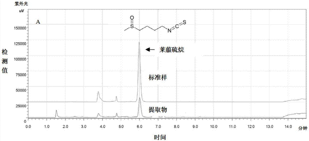 Sulforaphane with anti-influenza virus effect, and preparation method and application thereof