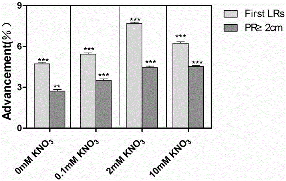 Application of rice osmads27 gene in promoting lateral root growth of taproot plants