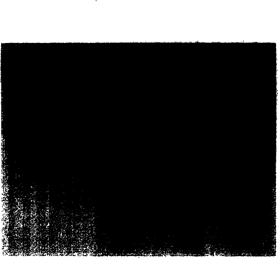 Ordered mesoporous molecular sieve material with ultrahigh hydrothermal stability and synthesis method thereof