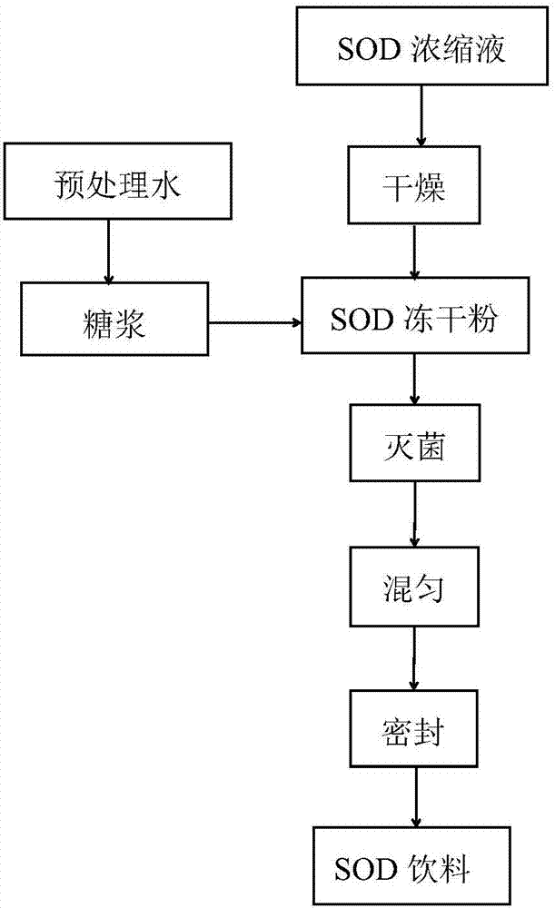 SOD (superoxide dismutase) beverage and preparation method thereof