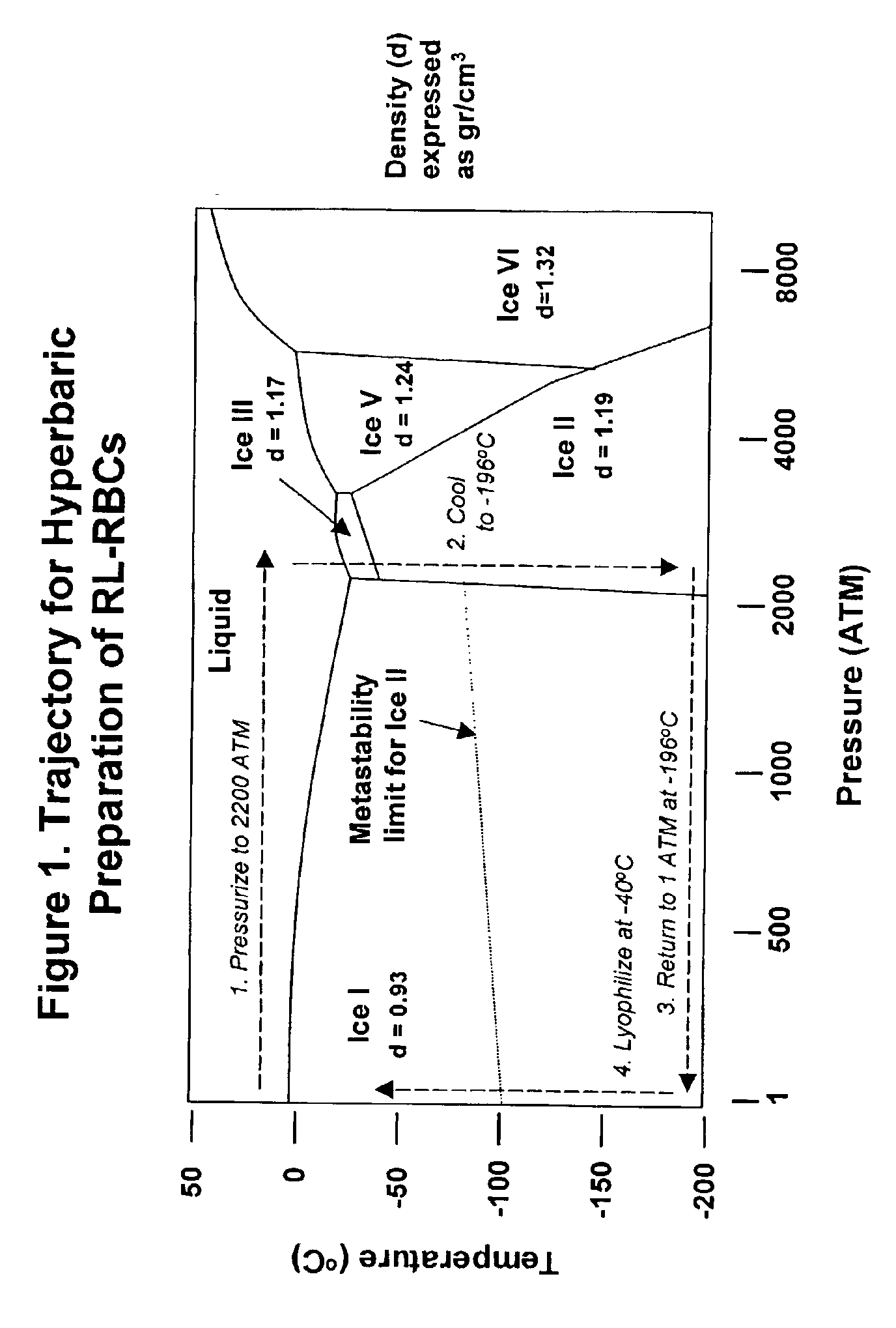 Fixed dried red blood cells and method of use