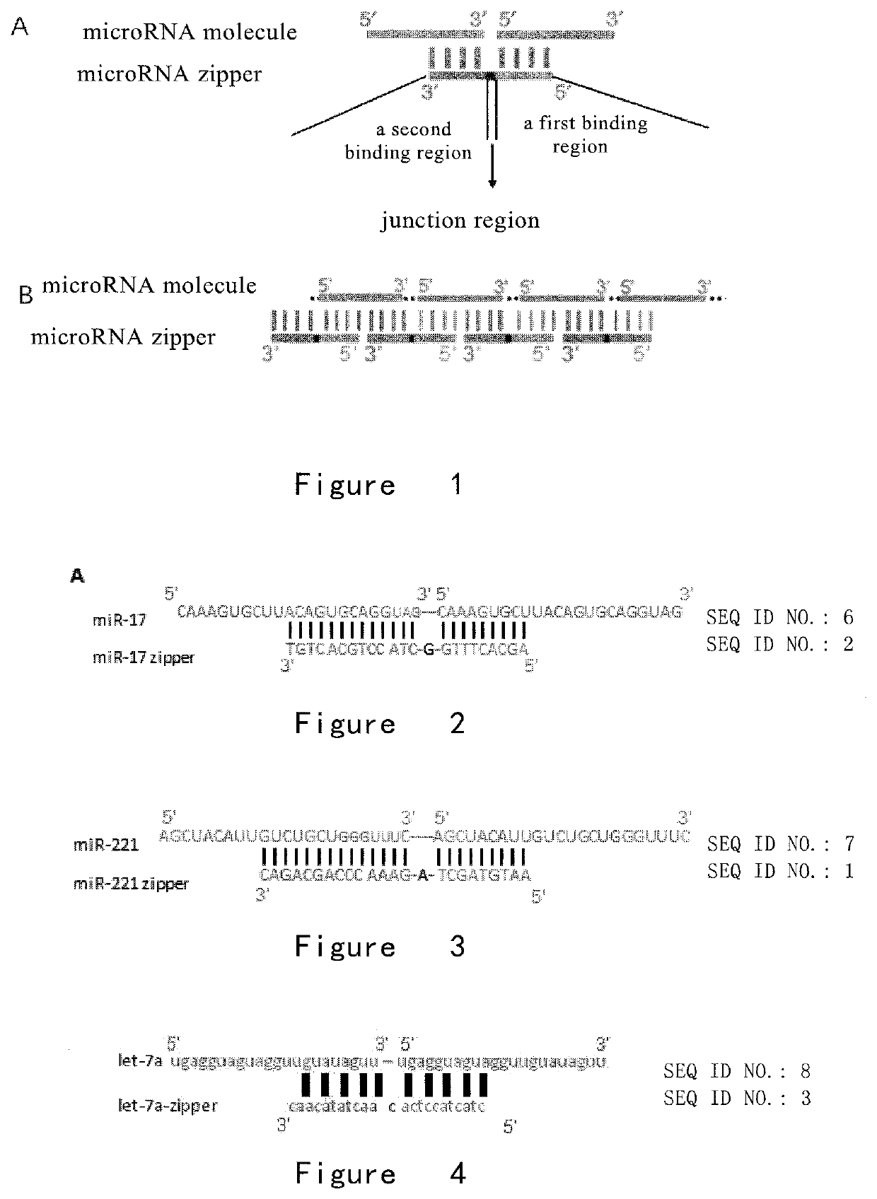 Microrna inhibitor