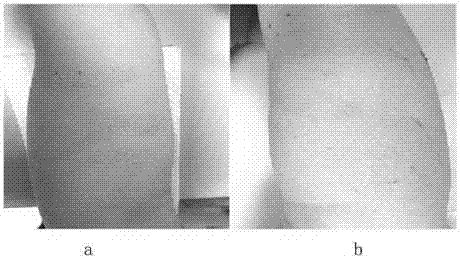 Cream with effect of improving infant skin barrier and preparing process thereof