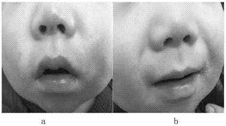 Cream with effect of improving infant skin barrier and preparing process thereof