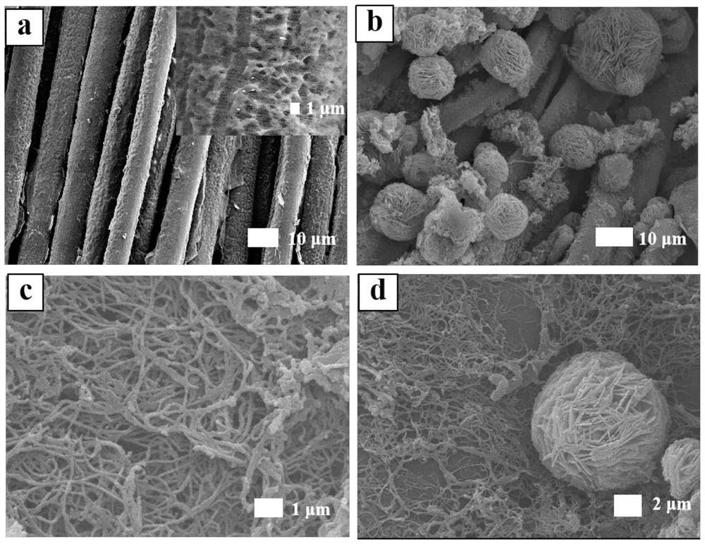 Flexible conductive composite material with nano net-shaped and flower-shaped structure as well as preparation method and application thereof