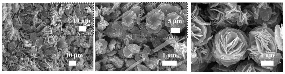 Flexible conductive composite material with nano net-shaped and flower-shaped structure as well as preparation method and application thereof