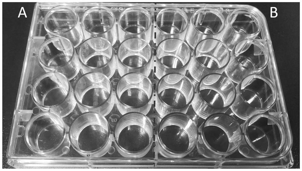 Preparation and application of high-throughput in-situ observable cell 3D culture plate