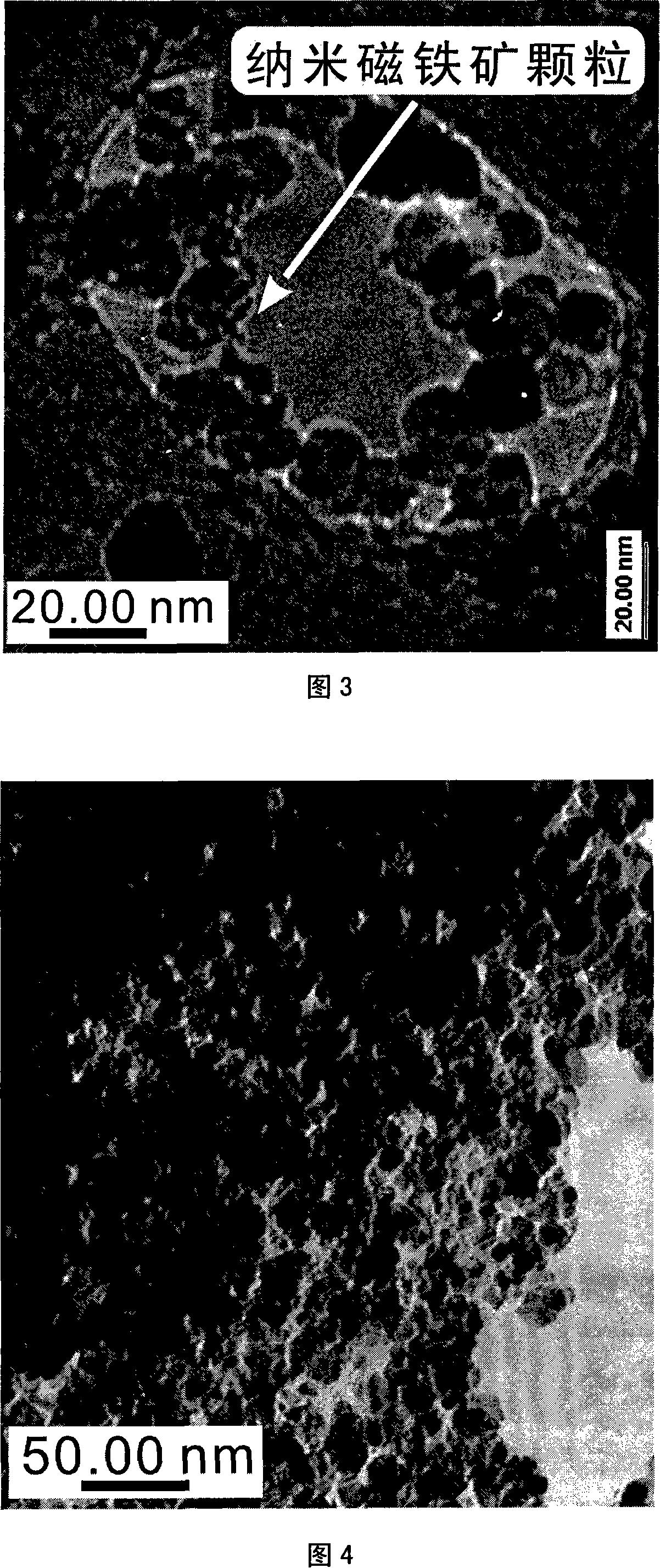 Preparation method of nano magnetite/diatomite composition for removing Cr6+ in water