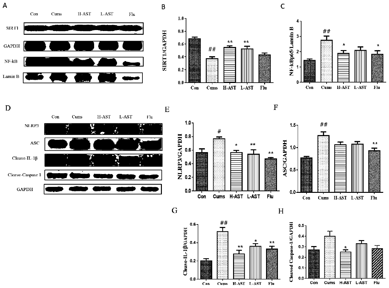 Application of astragalin in preparation of drug for preventing or treating depression