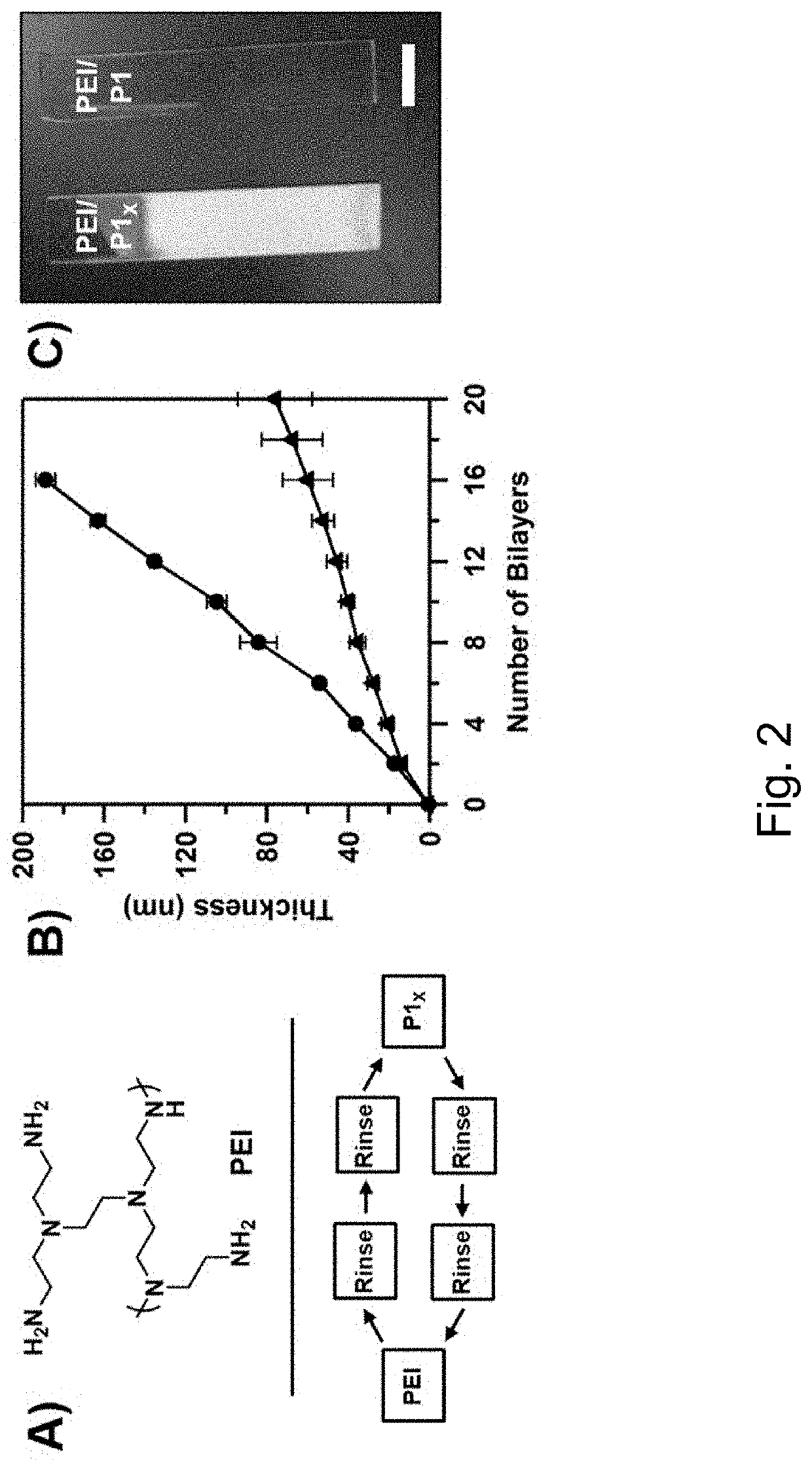 Influence of Partial Side Chain Hydrolysis on the Growth and Morphology of Reactive Polymer Multilayers Fabricated Using Azlactone-Functionalized Polymers