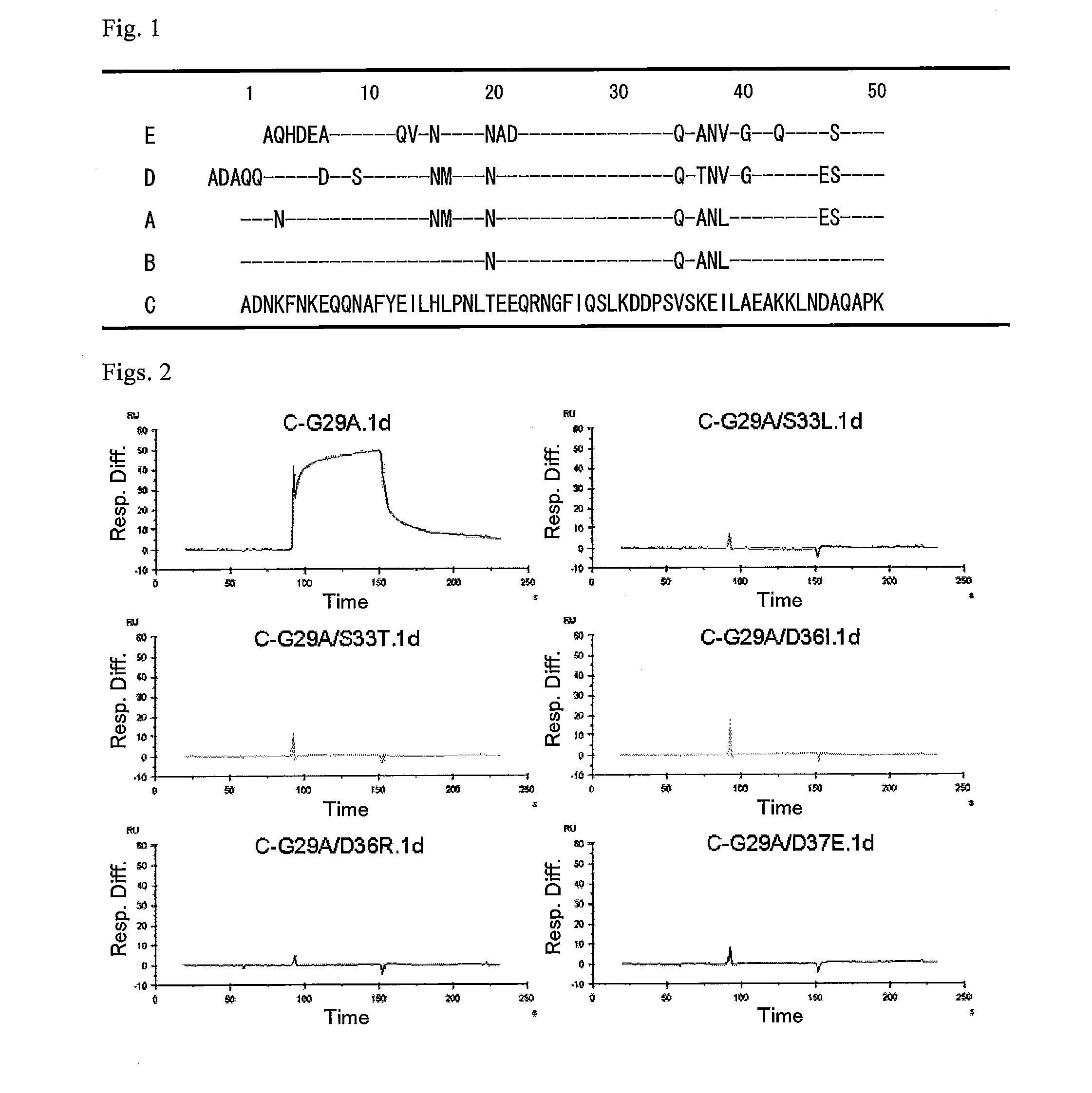 Protein capable of binding specifically to immunoglobulin, and immunoglobulin-binding affinity ligand