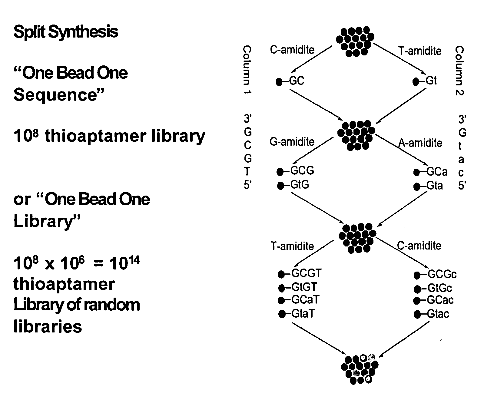 Bead bound combinatorial oligonucleoside phosphorothioate and phosphorodithioate aptamer libraries