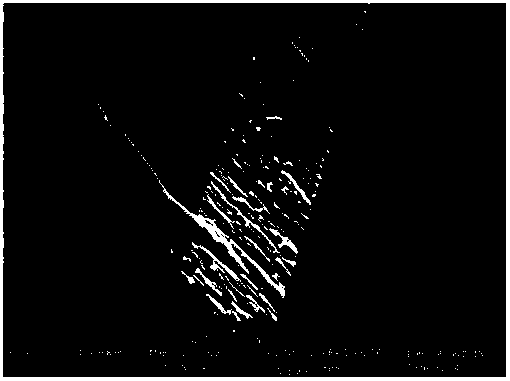 Magnetic nanowire array thin film and preparation method thereof