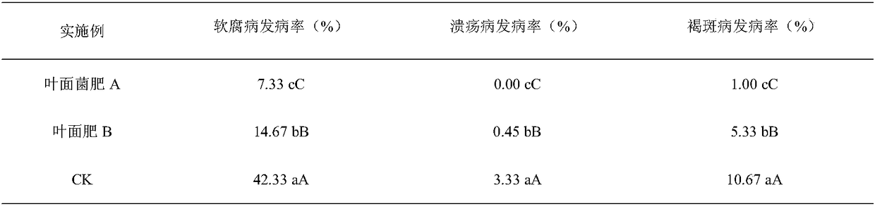 Foliar bacterial fertilizer for actinidia chinensis as well as preparation method and application thereof