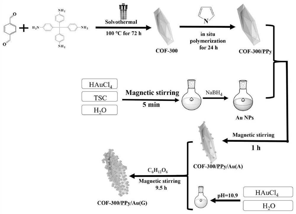 Preparation method and application of COF-300/PPy/Au (G) nano-enzyme catalyst