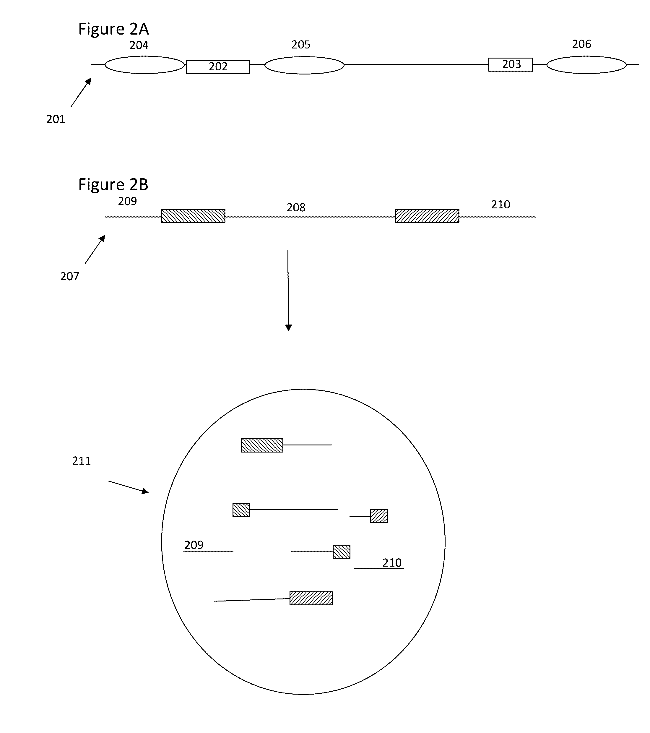 Methods and compositions for targeted nucleic acid sequencing