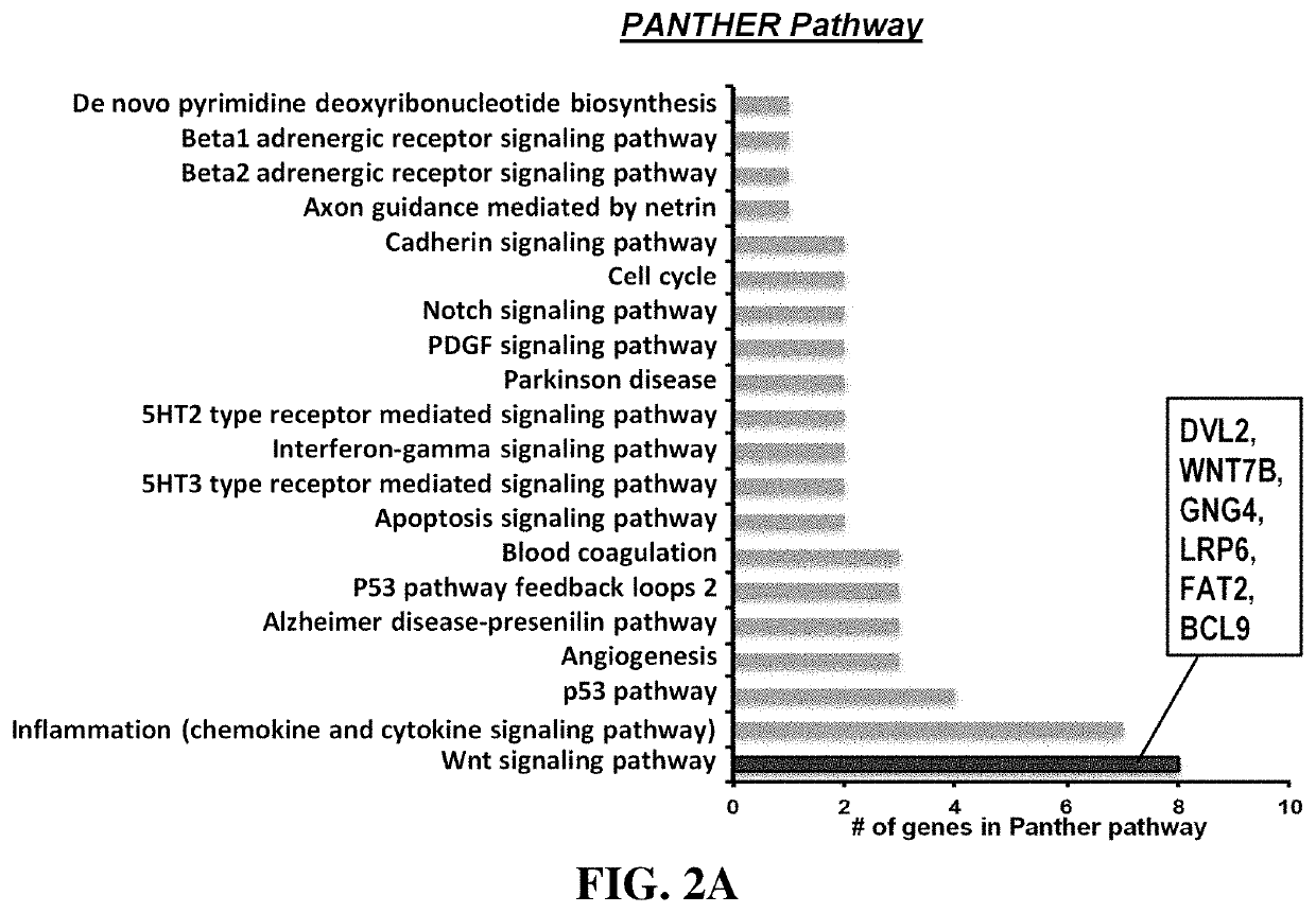 Methods for treating diseases related to the wnt pathway