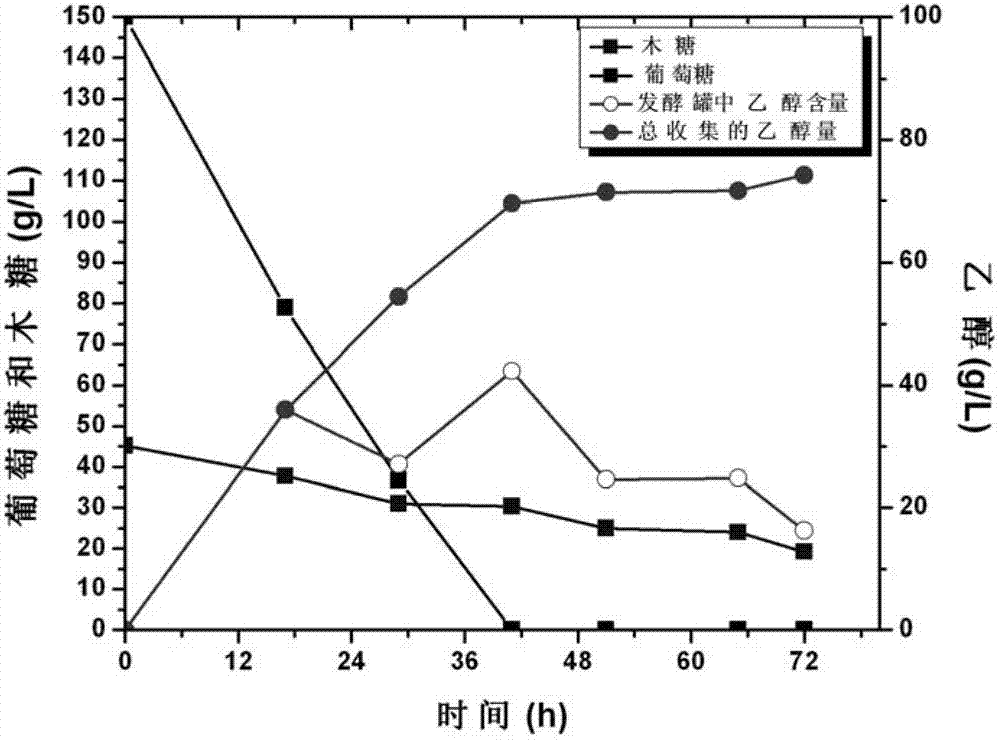Saccharomyces cerevisiae engineering bacterium and its application in production of ethanol