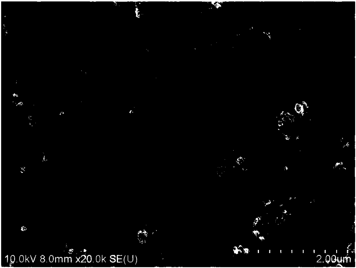 Method for processing ammonia-nitrogen wastewater