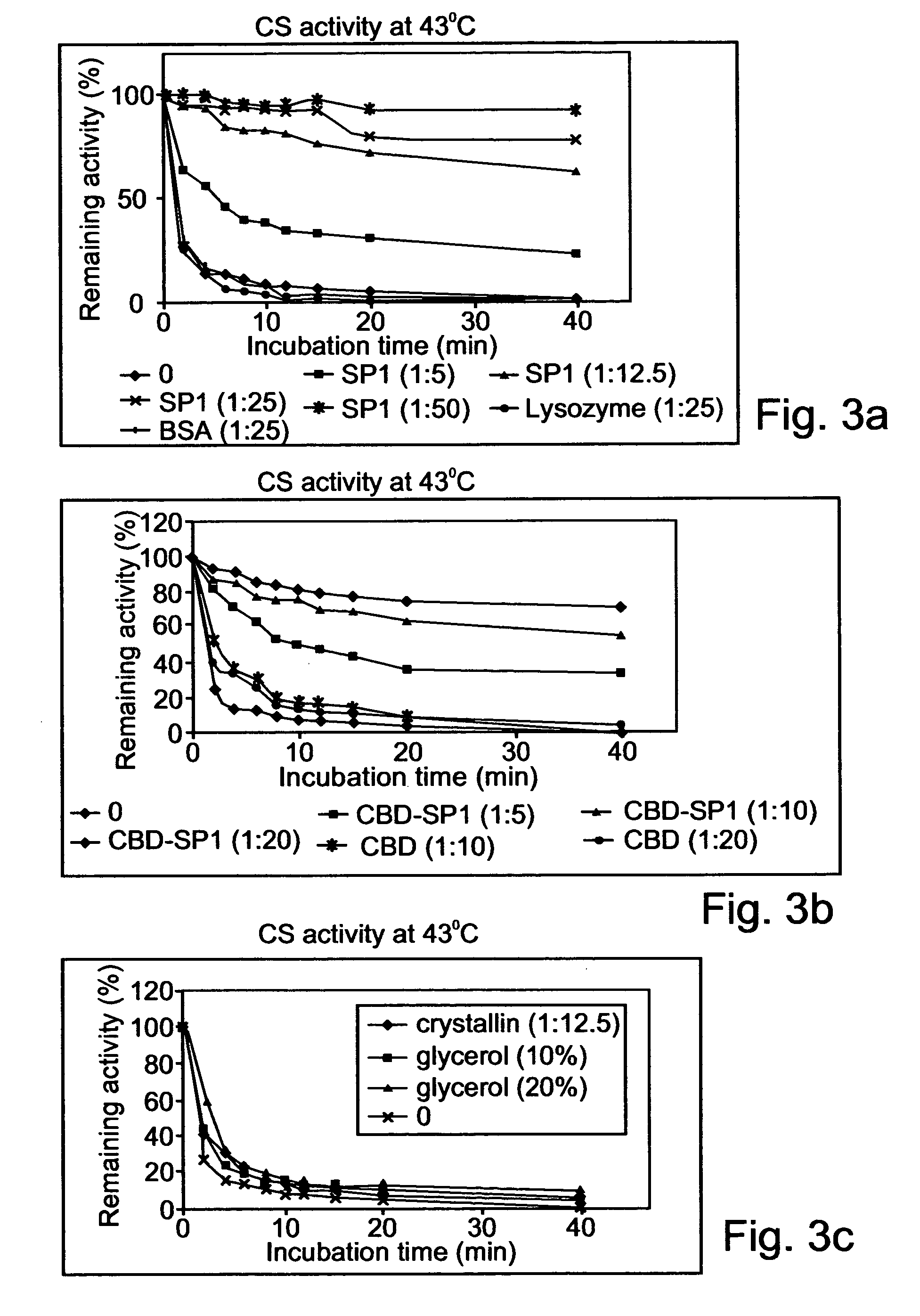 Denaturat stable and/or protease resistant, chaperone-like oligomeric proteins, polynucleotides encoding same and their uses