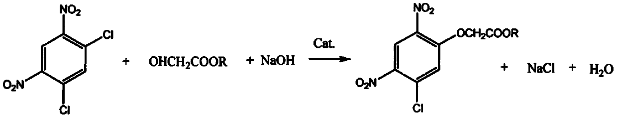 Method for synthesizing 2-(5-fluoro-2, 4 dinitro-phenoxy) acetate