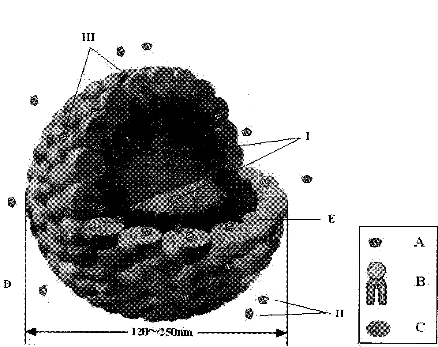 Prostaglandin E1 lipid microsphere injection with charge effect and preparation method thereof