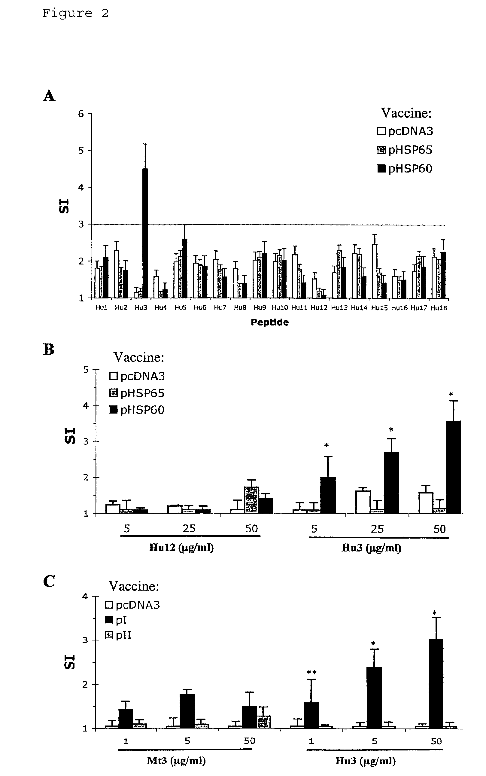 DNA vaccines encoding heat shock proteins