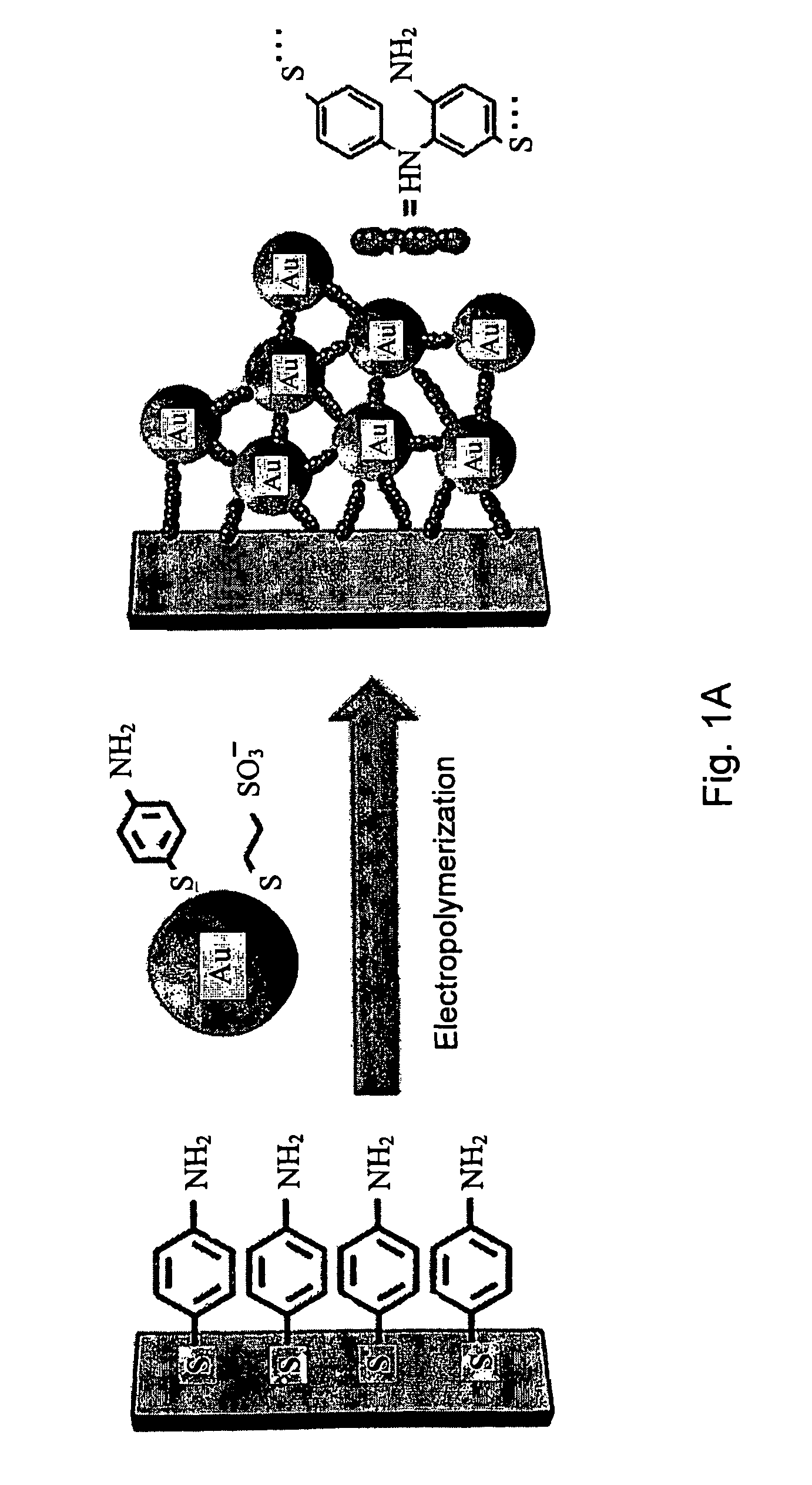 Method and device for detection of nitroamines