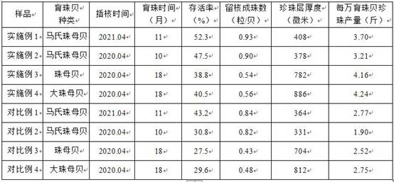 Seawater pearl shell culture method