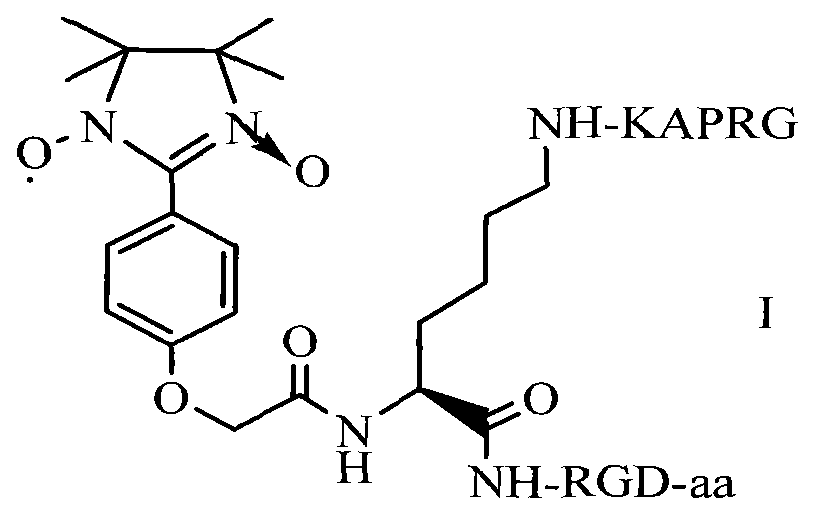 GRPAK/tetrahydroglyoxaline/RGD ternary conjugate as well as preparation method and application thereof